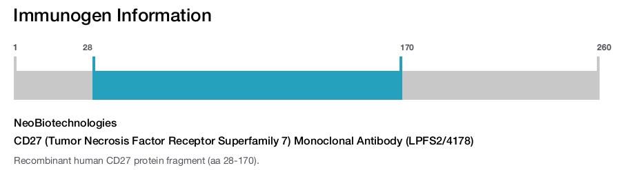 CD27 (Tumor Necrosis Factor Receptor Superfamily 7) Monoclonal Antibody (LPFS2/4178)