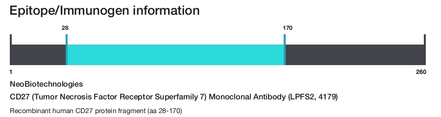 CD27 (Tumor Necrosis Factor Receptor Superfamily 7) Monoclonal Antibody (LPFS2, 4179)