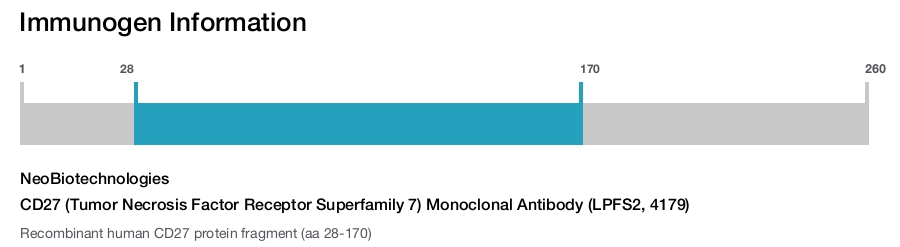 CD27 (Tumor Necrosis Factor Receptor Superfamily 7) Monoclonal Antibody (LPFS2, 4179)