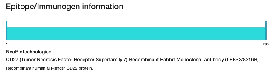 CD27 (Tumor Necrosis Factor Receptor Superfamily 7) Recombinant Rabbit Monoclonal Antibody (LPFS2/8316R)