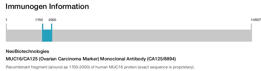 MUC16/CA125 (Ovarian Carcinoma Marker) Monoclonal Antibody (CA125/8894)