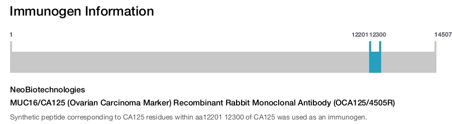 MUC16/CA125 (Ovarian Carcinoma Marker) Recombinant Rabbit Monoclonal Antibody (OCA125/4505R)