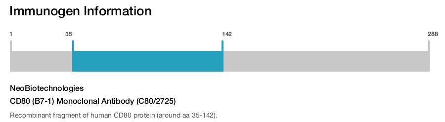 CD80 (B7-1) Monoclonal Antibody (C80/2725)