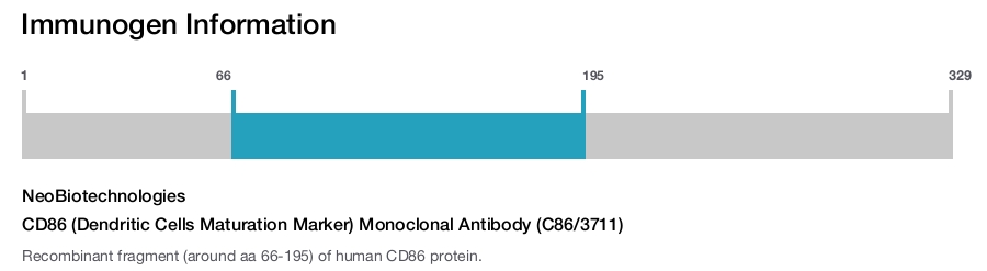CD86 (Dendritic Cells Maturation Marker) Monoclonal Antibody (C86/3711)