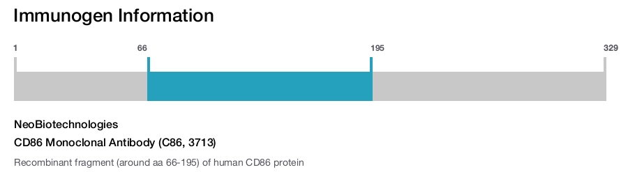 CD86 Monoclonal Antibody (C86, 3713)