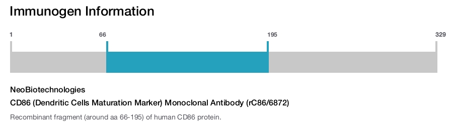CD86 (Dendritic Cells Maturation Marker) Monoclonal Antibody (rC86/6872)