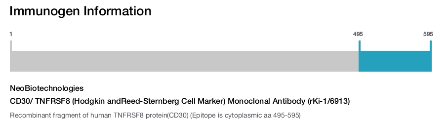CD30/ TNFRSF8 (Hodgkin andReed-Sternberg Cell Marker) Monoclonal Antibody (rKi-1/6913)
