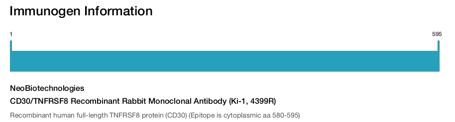 CD30/TNFRSF8 Recombinant Rabbit Monoclonal Antibody (Ki-1, 4399R)