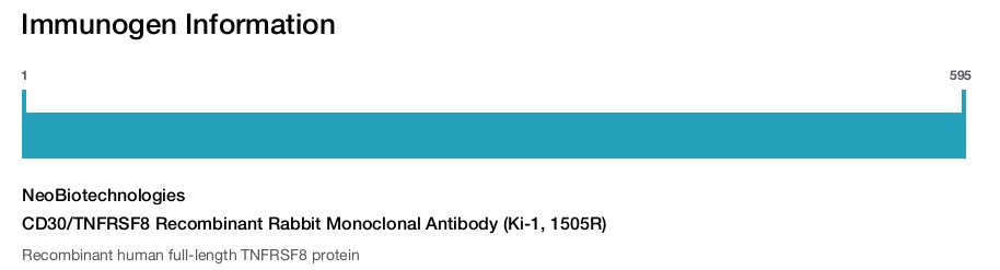CD30/TNFRSF8 Recombinant Rabbit Monoclonal Antibody (Ki-1, 1505R)