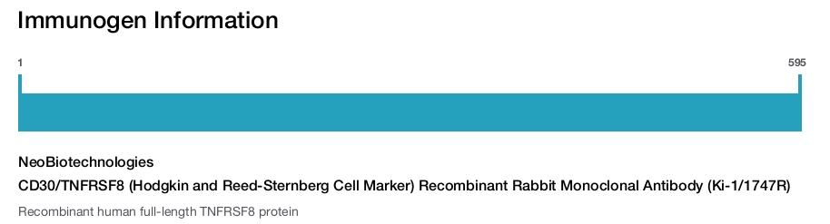 CD30/TNFRSF8 (Hodgkin and Reed-Sternberg Cell Marker) Recombinant Rabbit Monoclonal Antibody (Ki-1/1747R)