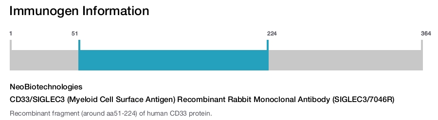 CD33/SIGLEC3 (Myeloid Cell Surface Antigen) Recombinant Rabbit Monoclonal Antibody (SIGLEC3/7046R)