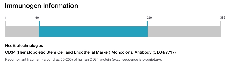 CD34 (Hematopoietic Stem Cell and Endothelial Marker) Monoclonal Antibody (CD34/7717)