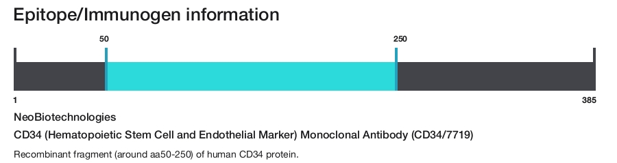 CD34 (Hematopoietic Stem Cell and Endothelial Marker) Monoclonal Antibody (CD34/7719)