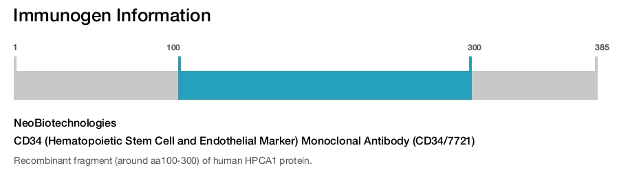 CD34 (Hematopoietic Stem Cell and Endothelial Marker) Monoclonal Antibody (CD34/7721)
