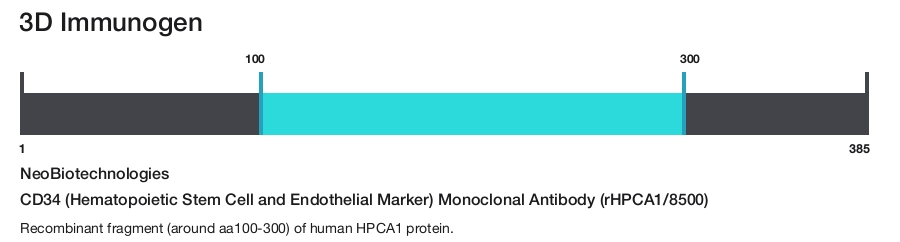 CD34 (Hematopoietic Stem Cell and Endothelial Marker) Monoclonal Antibody (rHPCA1/8500)