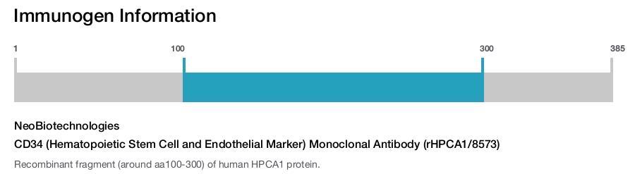 CD34 (Hematopoietic Stem Cell and Endothelial Marker) Monoclonal Antibody (rHPCA1/8573)