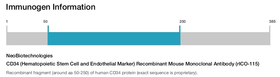 CD34 (Hematopoietic Stem Cell and Endothelial Marker) Recombinant Mouse Monoclonal Antibody (rICO-115)