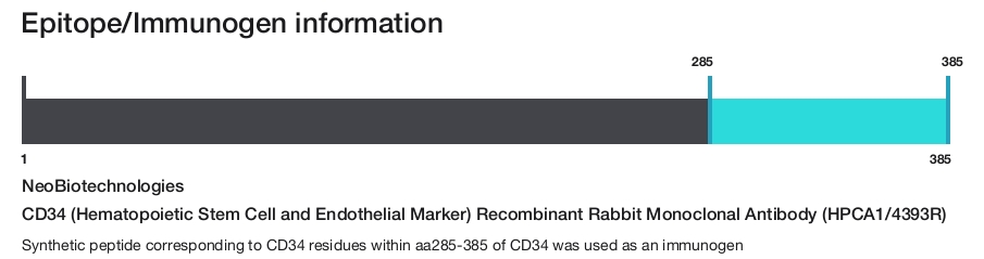 CD34 (Hematopoietic Stem Cell and Endothelial Marker) Recombinant Rabbit Monoclonal Antibody (HPCA1/4393R)