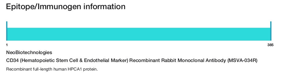 CD34 (Hematopoietic Stem Cell & Endothelial Marker) Recombinant Rabbit Monoclonal Antibody (MSVA-034R)