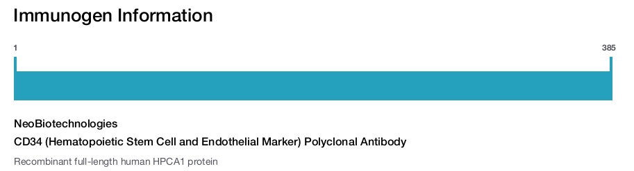 CD34 (Hematopoietic Stem Cell and Endothelial Marker) Polyclonal Antibody