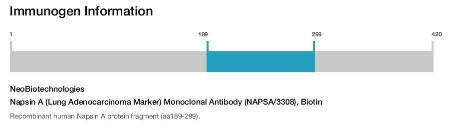 Napsin A (Lung Adenocarcinoma Marker) Monoclonal Antibody (NAPSA/3308), Biotin