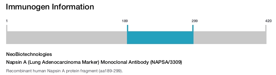 Napsin A (Lung Adenocarcinoma Marker) Monoclonal Antibody (NAPSA/3309)