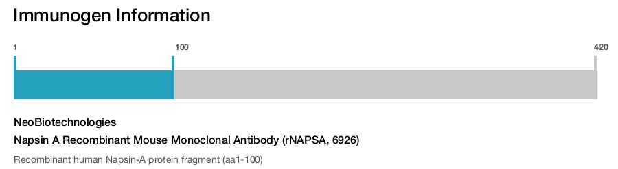 Napsin A Recombinant Mouse Monoclonal Antibody (rNAPSA, 6926)