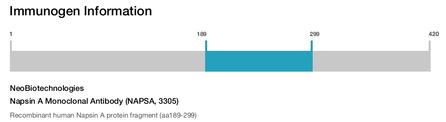 Napsin A Monoclonal Antibody (NAPSA, 3305)