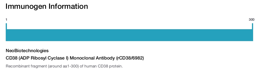 CD38 (ADP Ribosyl Cyclase I) Monoclonal Antibody (rCD38/6982)