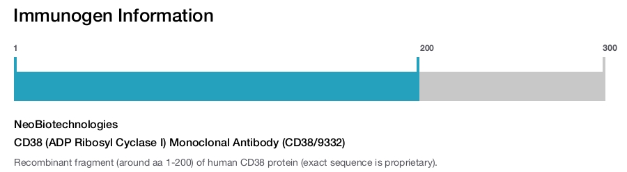CD38 (ADP Ribosyl Cyclase I) Monoclonal Antibody (CD38/9332)