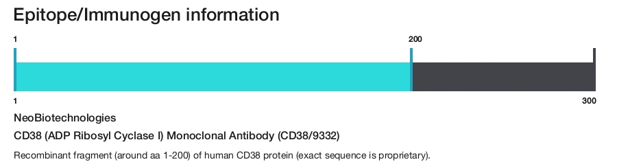 CD38 (ADP Ribosyl Cyclase I) Monoclonal Antibody (CD38/9332)