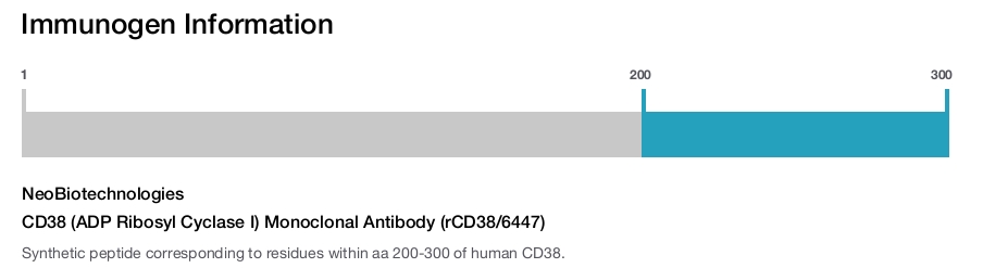 CD38 (ADP Ribosyl Cyclase I) Monoclonal Antibody (rCD38/6447)