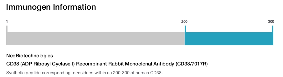 CD38 (ADP Ribosyl Cyclase I) Recombinant Rabbit Monoclonal Antibody (CD38/7017R)