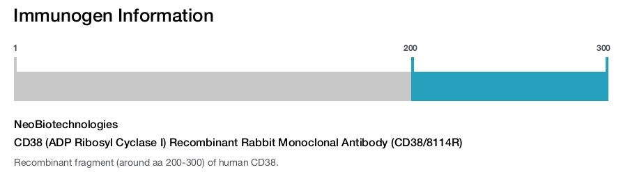 CD38 (ADP Ribosyl Cyclase I) Recombinant Rabbit Monoclonal Antibody (CD38/8114R)