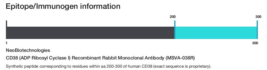 CD38 (ADP Ribosyl Cyclase I) Recombinant Rabbit Monoclonal Antibody (MSVA-038R)