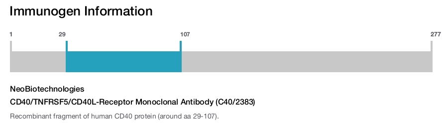 CD40/TNFRSF5/CD40L-Receptor Monoclonal Antibody (C40/2383)