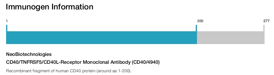 CD40/TNFRSF5/CD40L-Receptor Monoclonal Antibody (CD40/4940)