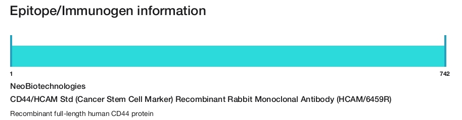 CD44/HCAM Std (Cancer Stem Cell Marker) Recombinant Rabbit Monoclonal Antibody (HCAM/6459R)