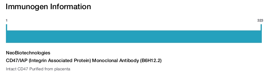 CD47/IAP (Integrin Associated Protein) Monoclonal Antibody (B6H12.2)