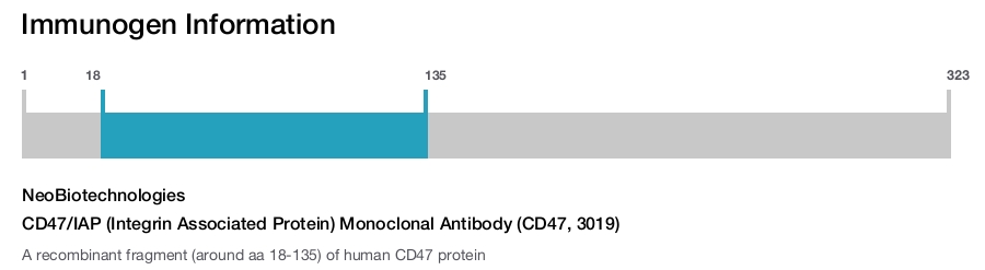 CD47/IAP (Integrin Associated Protein) Monoclonal Antibody (CD47, 3019)