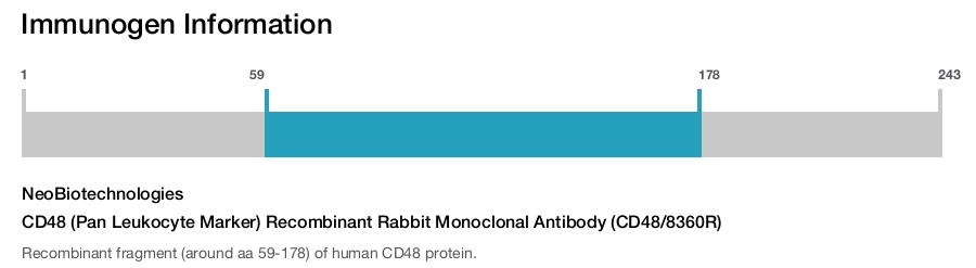 CD48 (Pan Leukocyte Marker) Recombinant Rabbit Monoclonal Antibody (CD48/8360R)