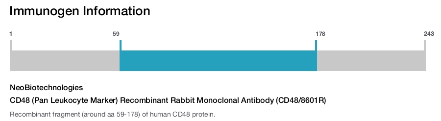 CD48 (Pan Leukocyte Marker) Recombinant Rabbit Monoclonal Antibody (CD48/8601R)