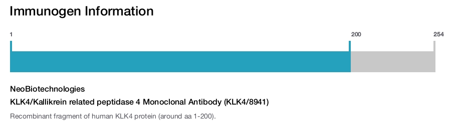 KLK4/Kallikrein related peptidase 4 Monoclonal Antibody (KLK4/8941)