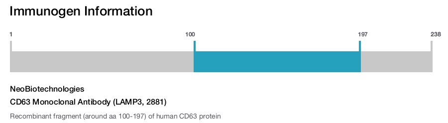 CD63 Monoclonal Antibody (LAMP3, 2881)