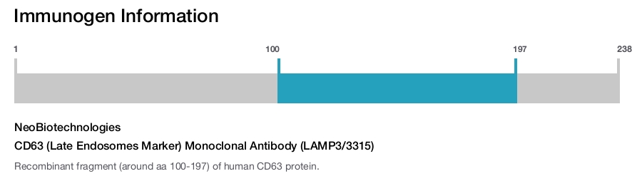CD63 (Late Endosomes Marker) Monoclonal Antibody (LAMP3/3315)
