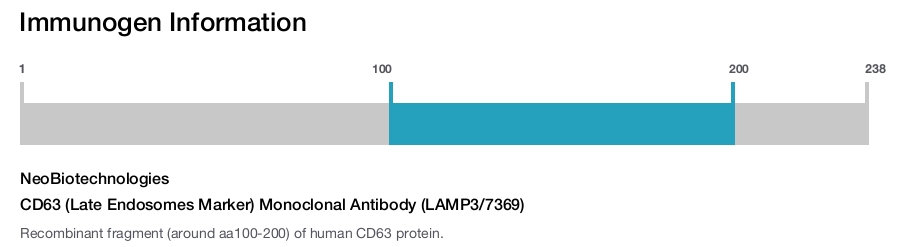 CD63 (Late Endosomes Marker) Monoclonal Antibody (LAMP3/7369)