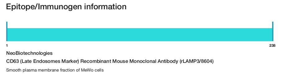CD63 (Late Endosomes Marker) Recombinant Mouse Monoclonal Antibody (rLAMP3/8604)