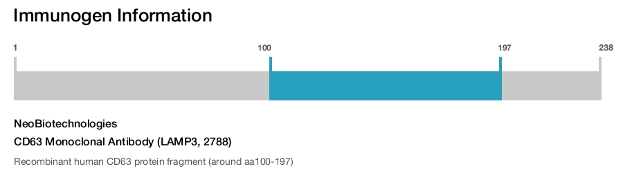 CD63 Monoclonal Antibody (LAMP3, 2788)