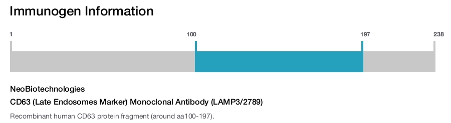 CD63 (Late Endosomes Marker) Monoclonal Antibody (LAMP3/2789)