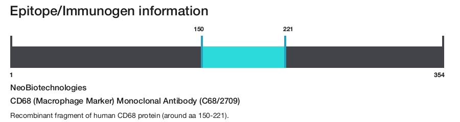 CD68 (Macrophage Marker) Monoclonal Antibody (C68/2709)